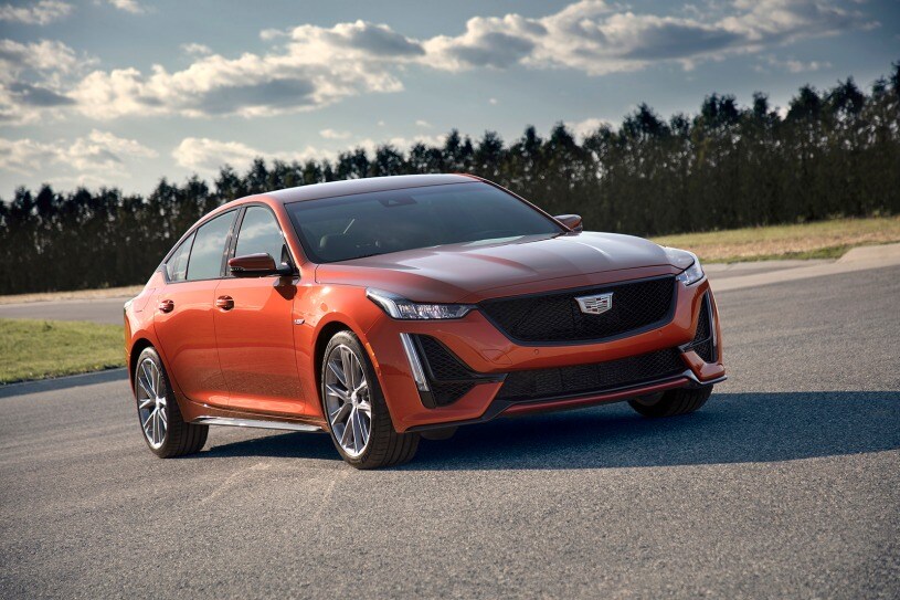 VIN 1G6DP5RK8L0125298 Report for the  Sport
